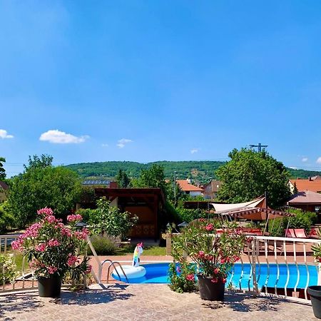 Bed and Breakfast Andrea Pansio à Balatonfüred Extérieur photo